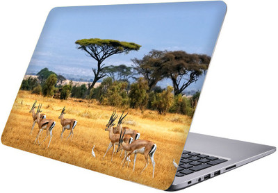 

Printclub Multicolor-026 Vinyl Laptop Decal 15.6