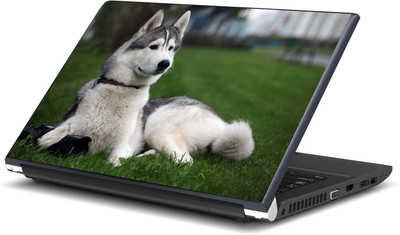 Artifa Cute Dog Ls0767 Vinyl Laptop Decal 15.6 Artifa Cute Dog Ls0767 Vinyl Laptop Decal 15.6