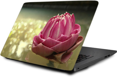 

Printclub Laptop Skin decal 15.6 inch- Laptop skin-685 Vinyl Laptop Decal 15.6