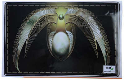 

LEAF Light Vinyl Laptop Decal 15.6