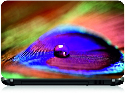 

Box 18 Peacock Feather476 Vinyl Laptop Decal 15.6