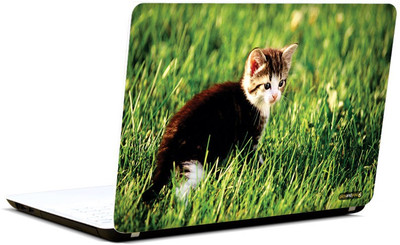 

Pics And You Animal Themed 284 3M/Avery Vinyl Laptop Decal 15.6