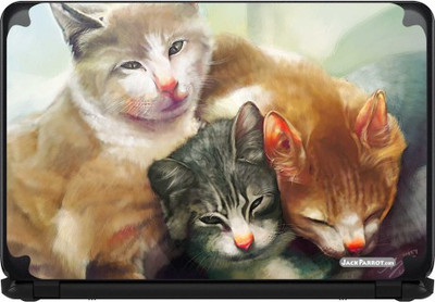 

Jack Parrot Cats Vinyl Laptop Decal 14