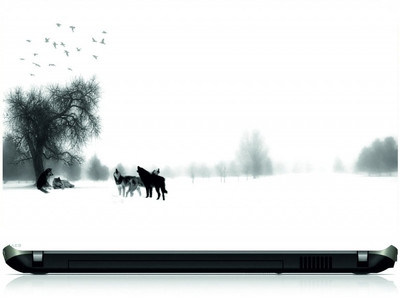 

Box 18 Fogg Foxes249 Vinyl Laptop Decal 15.6