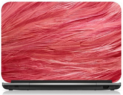 

Box 18 Colourful Feathers2341327 Vinyl Laptop Decal 15.6