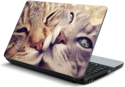 

Geek love two cats hugging HQ Laminated Vinyl Laptop Decal 15.6