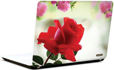 

Pics and You Heartfelt Memories Vinyl Laptop Decal 15.6