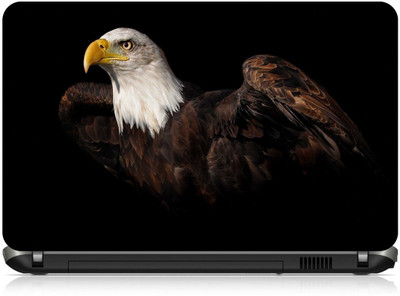 

Box 18 Eagle6621634 Vinyl Laptop Decal 15.6