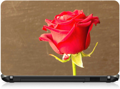 

Box 18 Beautiful Rose Background1450 Vinyl Laptop Decal 15.6