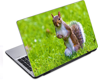 

ezyPRNT Cute Squirrel (14 to 14.9 inch) Vinyl Laptop Decal 14
