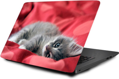 

Printclub Laptop Skin decal 15.6 inch- Laptop skin-481 Vinyl Laptop Decal 15.6