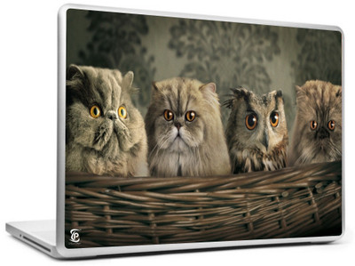 

Print Shapes Owl & cat Vinyl Laptop Decal 15.6