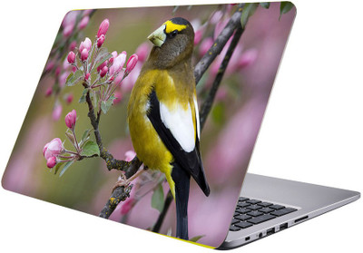 

Printclub Designer-241 Vinyl Laptop Decal 15.6