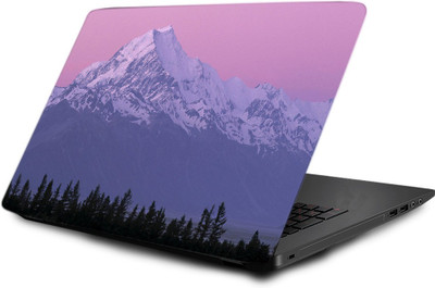 

Printclub Laptop Skin decal 15.6 inch- Laptop skin-742 Vinyl Laptop Decal 15.6