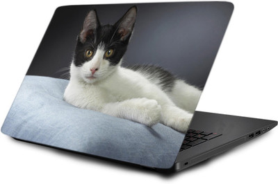 

Printclub Laptop Skin decal 15.6 inch- Laptop skin-415 Vinyl Laptop Decal 15.6