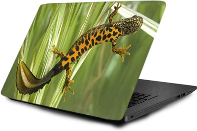 

Printclub Laptop Skin decal 15.6 inch- Laptop skin-452 Vinyl Laptop Decal 15.6