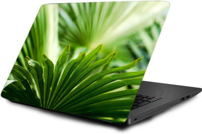 

Printclub Laptop Skin decal 15.6 inch- Laptop skin-480 Vinyl Laptop Decal 15.6