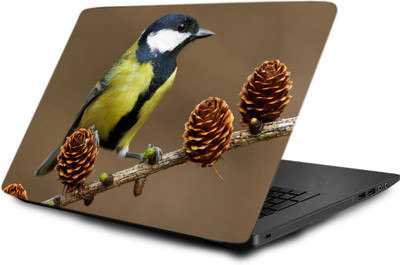 

Printclub Laptop Skin decal 15.6 inch- Laptop skin-396 Vinyl Laptop Decal 15.6