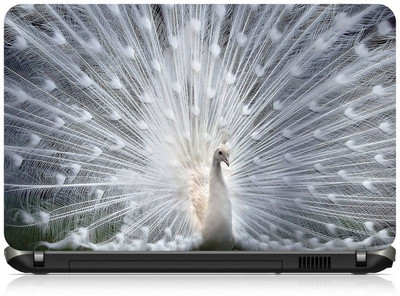 

Box 18 White Peacock 2190 Vinyl Laptop Decal 15.6