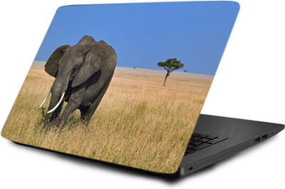 

Printclub Laptop Skin decal 15.6 inch- Laptop skin-451 Vinyl Laptop Decal 15.6
