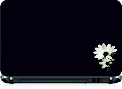 

Box 18 White Flowers7393 Vinyl Laptop Decal 15.6