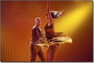

Artifa Dancers Vinyl Laptop Decal 15.6