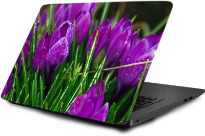 

Printclub Laptop Skin decal 15.6 inch- Laptop skin-488 Vinyl Laptop Decal 15.6