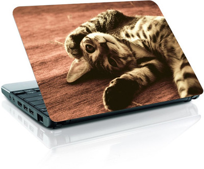 

Shopmania MULTICOLOR-047 Vinyl Laptop Decal 15.6