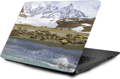 

Printclub Laptop Skin decal 15.6 inch- Laptop skin-794 Vinyl Laptop Decal 15.6