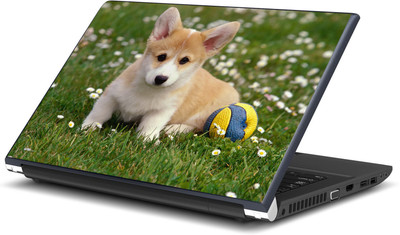 Artifa Cute Dog With Ball Vinyl Laptop Decal 15.6