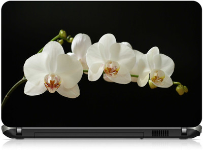 

Box 18 Flowers 435987 Vinyl Laptop Decal 15.6