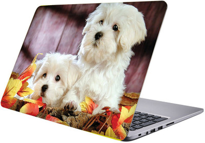 

Printclub Designer-104 Vinyl Laptop Decal 15.6