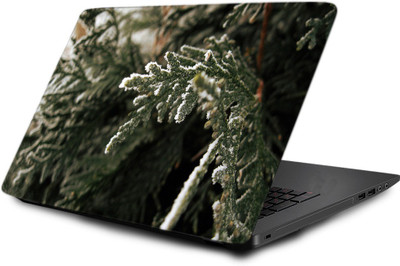 

Printclub Laptop Skin decal 15.6 inch- Laptop skin-644 Vinyl Laptop Decal 15.6