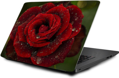 

Printclub Designer Stickers 15.6 inch- Laptop skin-443 Vinyl Laptop Decal 15.6