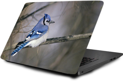 

Printclub Laptop Skin decal 15.6 inch- Laptop skin-395 Vinyl Laptop Decal 15.6