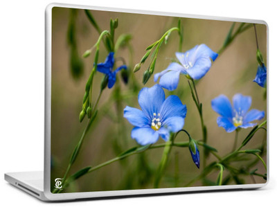 

Print Shapes Blue wild flowers Vinyl Laptop Decal 15.6