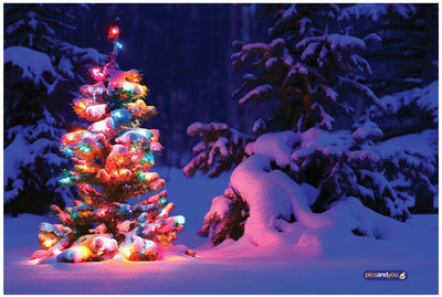 

Pics And You Pics And You Christmas Themed 72 Laptop Skin Vinyl Laptop Decal 15.6