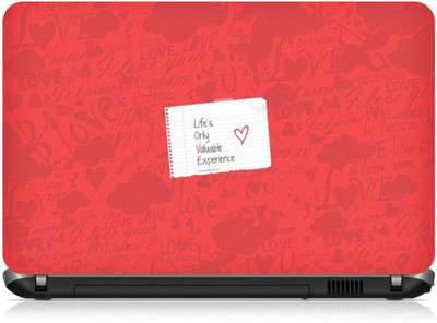 

Box 18 Life only Valuable Experince863 Vinyl Laptop Decal 15.6