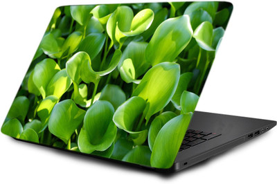 

Printclub Laptop Skin decal 15.6 inch- Laptop skin-591 Vinyl Laptop Decal 15.6