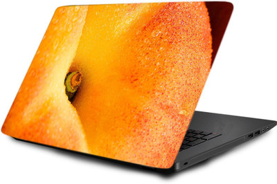 

Printclub Laptop Skin decal 15.6 inch- Laptop skin-666 Vinyl Laptop Decal 15.6