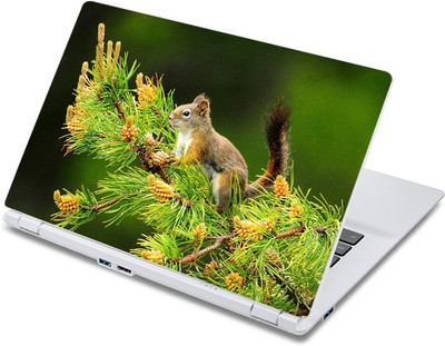 

ezyPRNT Cute Squirrel (13 to 13.9 inch) Vinyl Laptop Decal 13