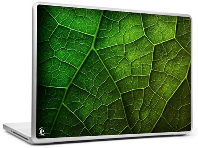 

Print Shapes Green Leaf Background Vinyl Laptop Decal 15.6