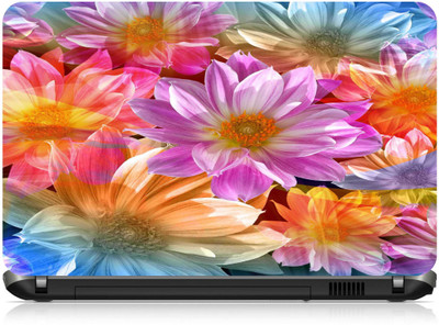 

Box 18 Flowers 331429 Vinyl Laptop Decal 15.6