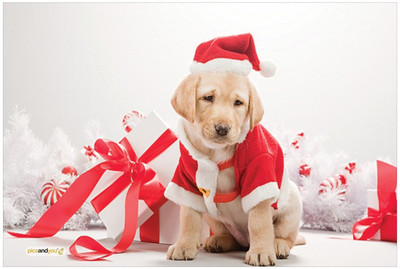 

Pics And You Pics And You Christmas Themed 263 Laptop Skin Vinyl Laptop Decal 15.6