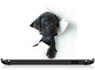 

Box 18 3d Dog 133955 Vinyl Laptop Decal 15.6