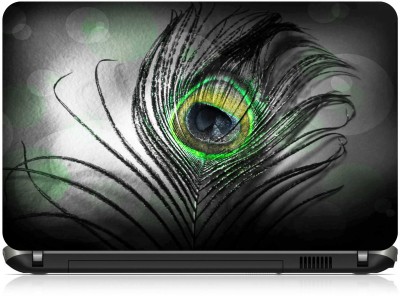 

Box 18 Peacock Feathers 1101666 Vinyl Laptop Decal 15.6