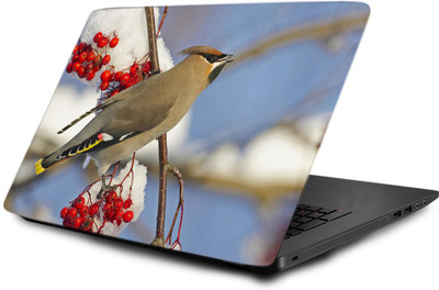 

Printclub Laptop Skin decal 15.6 inch- Laptop skin-744 Vinyl Laptop Decal 15.6