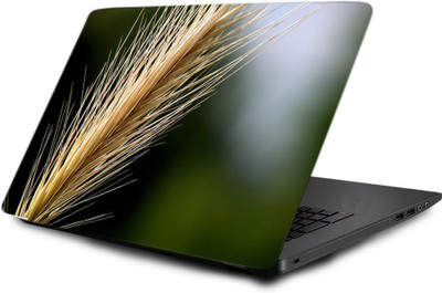 

Printclub Laptop Skin decal 15.6 inch- Laptop skin-332 Vinyl Laptop Decal 15.6
