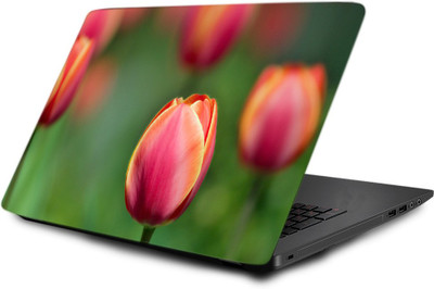 

Printclub Laptop Skin decal 15.6 inch- Laptop skin-660 Vinyl Laptop Decal 15.6