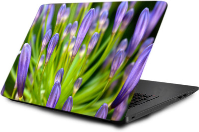 

Printclub Laptop Skin decal 15.6 inch- Laptop skin-458 Vinyl Laptop Decal 15.6